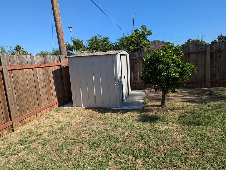 Shed and navel orange tree back corner