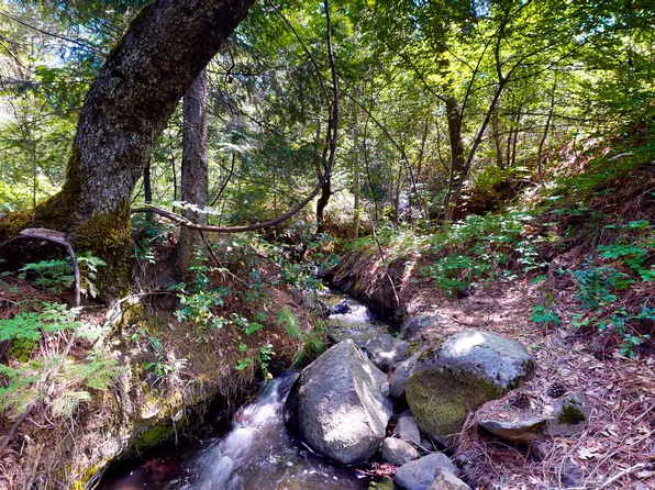 19127 Montgomery Valley Dr, Montgomery Creek, CA 96065