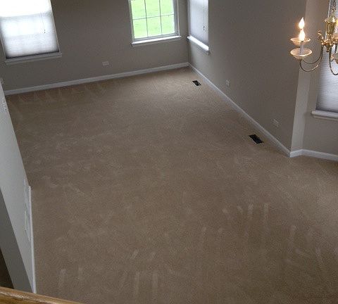 Living Room (New Paint/Carpet)