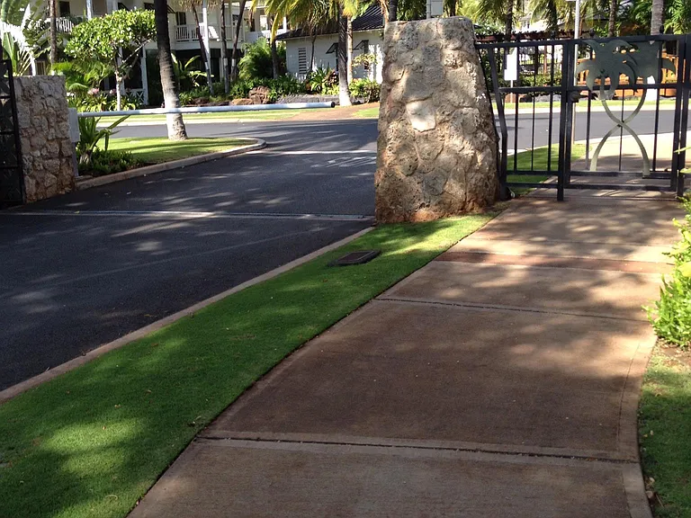 Coconut Entrance