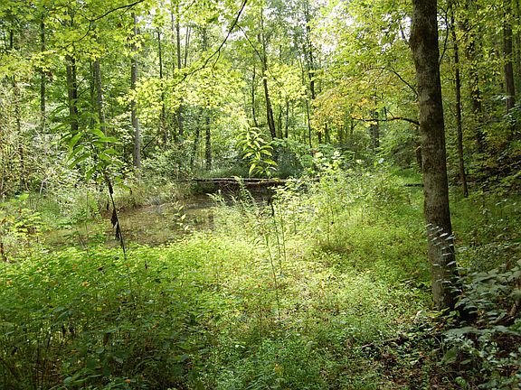 4th image of Redbud Valley Dr