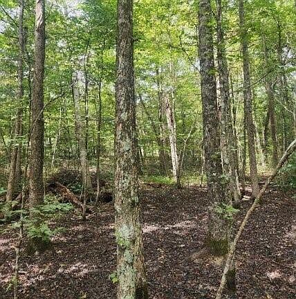 5th image of 0 Hampton Way