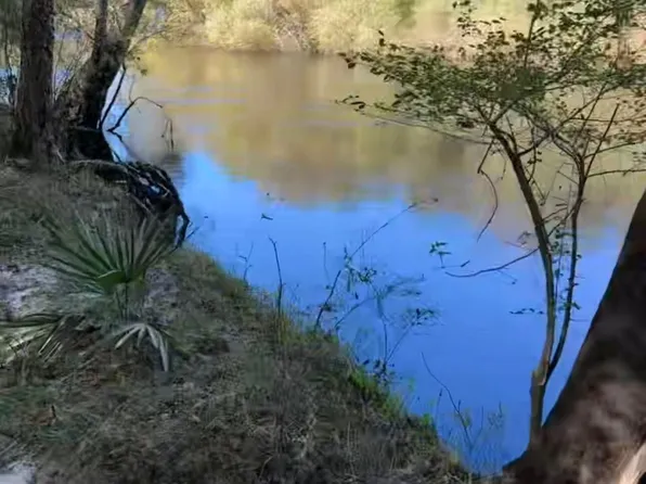 0 McDanieltown Rd, Ridgeville, SC 29472