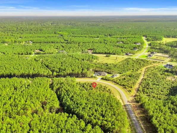 16086 Forest Mill Rd, Willis, TX 77378