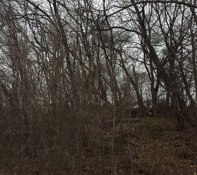 2nd image of 557 S Pearl St