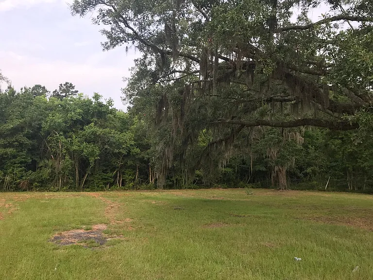 New Jesup Hwy — Photo 5
