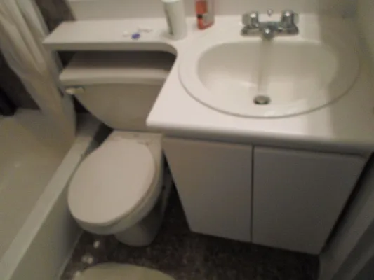 Rented by Sky Management | media 50