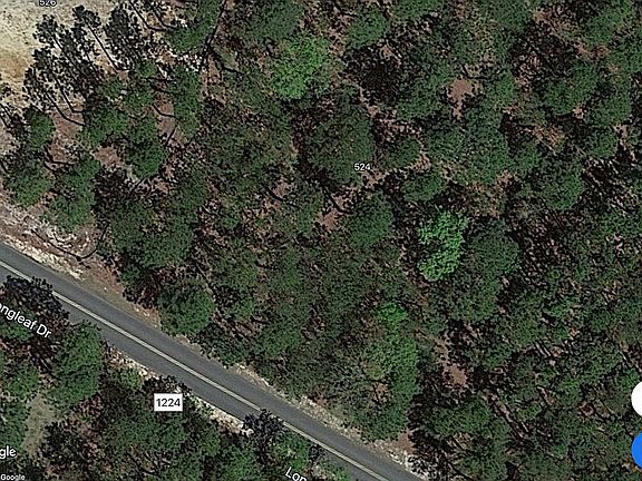 3rd image of 524 Longleaf Dr