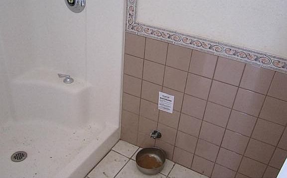 3rd image of 14190 Wild Flower Dr