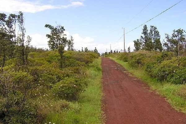 2nd image of 2nd Avenue Aloe Lot 2767