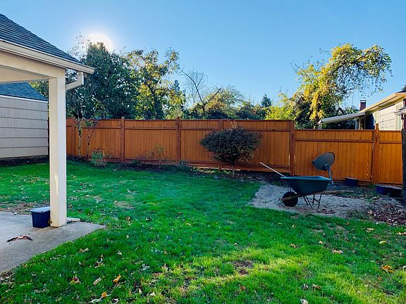 Back yard