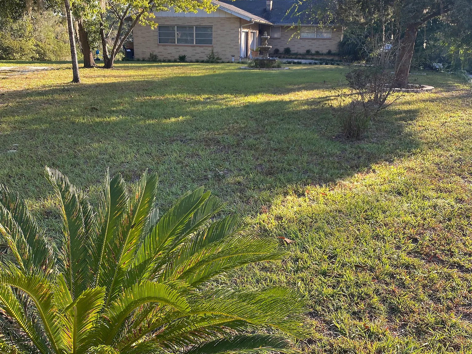 3 bed, 1700 sqft, $2,500 — Photo 2