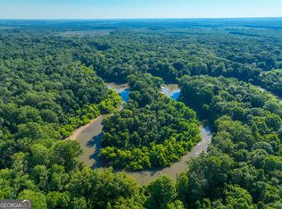 0 State Highway 96 W, Dry Branch, GA 31020