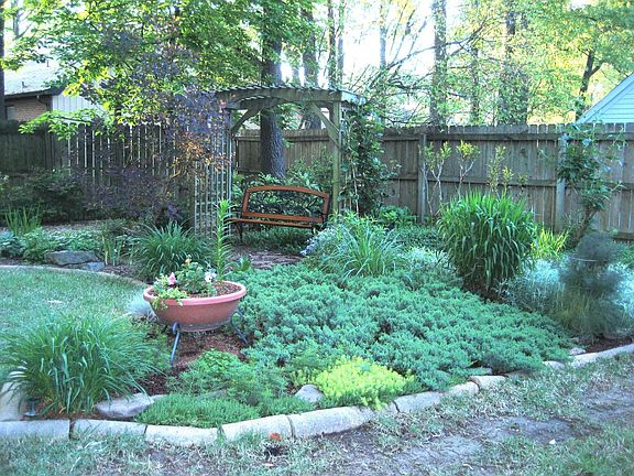 Backyard garden