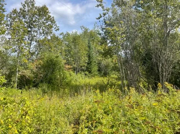 9th St, Onaway, MI 49765