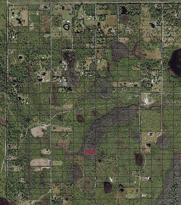 1st image of Tribal Trl