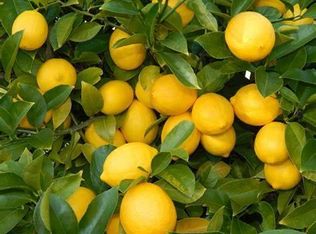 14498 2nd Ave, Blythe, CA 92225