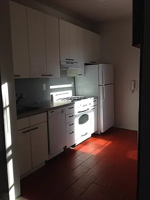 Rented by Manhattan Flats | media 15