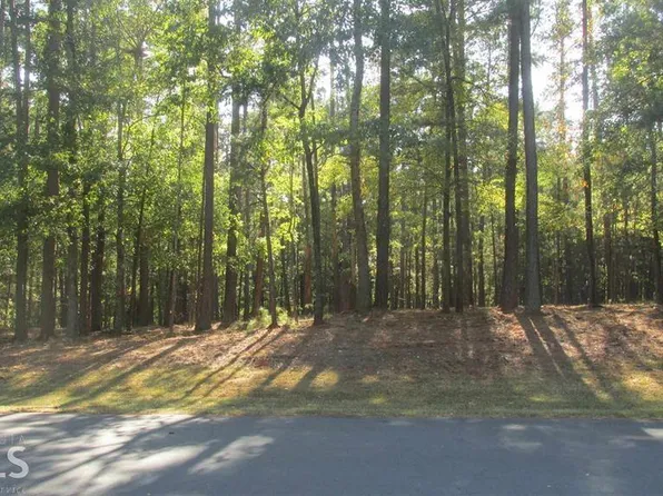 1020 Wrayswood Cir, Greensboro, GA 30642