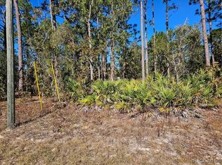 1915 W Wavecrest Dr, Citrus Springs, FL 34434