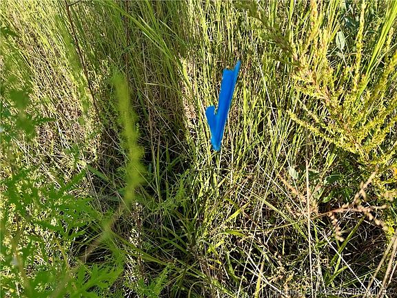3rd image of  E Side S Big Springs Road