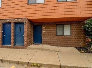 709 & 717 Carroll St, Akron, OH 44304