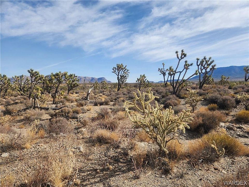 2nd image of 26461 N Tamarisk Street