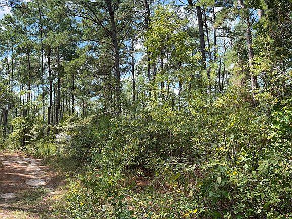 5th image of Fm 247