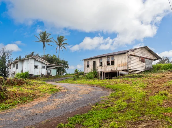 44-2906 Kalopa Rd, Honokaa, HI 96727