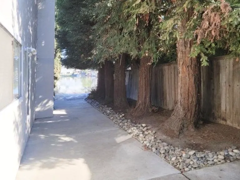 7134 Lighthouse Dr — Photo 4