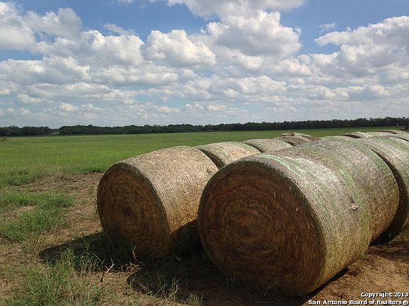 5th image of 50 ACRES Mysti Lane
