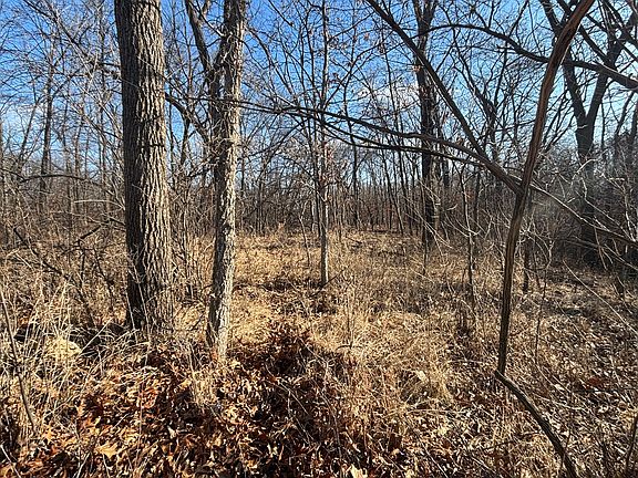 3rd image of 516 Brandywine Cir