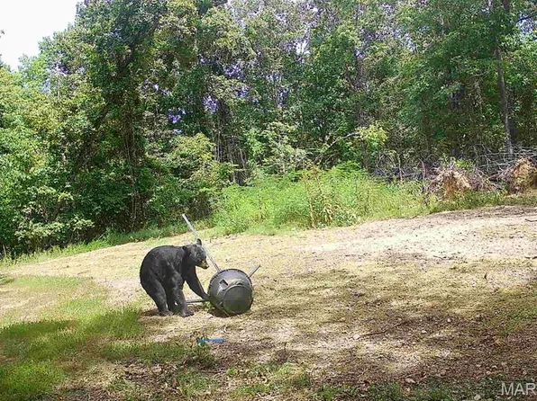 811 County Road 811, Black, MO 63625