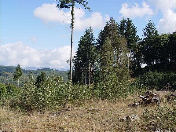 4th image of 115 Sugar Pine Pl