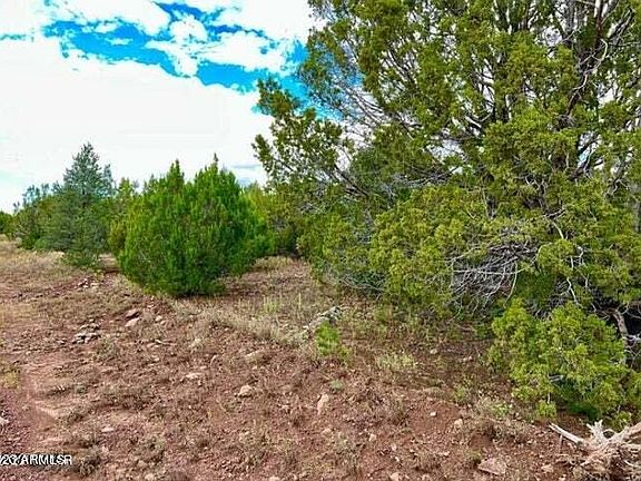5th image of 48 Co Rd 3198 -- #-