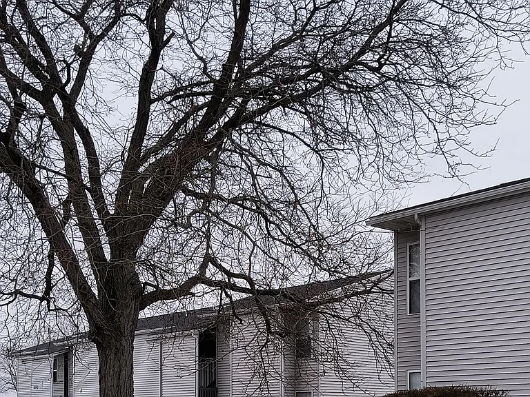 320 W Linden St #2 — Photo 16