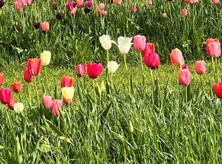 13225 W Tycoon Rd, Centerton, AR 72719