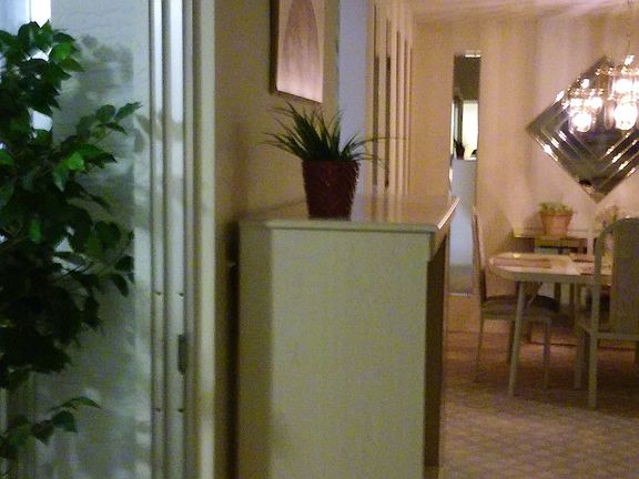 Living Room/View Formal Dinning Room