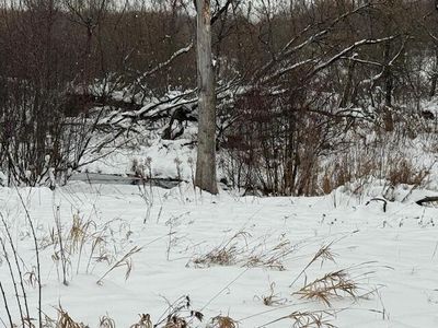 Apache Pass, Reed City, MI, 49677