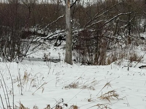 Apache Pass, Reed City, MI 49677