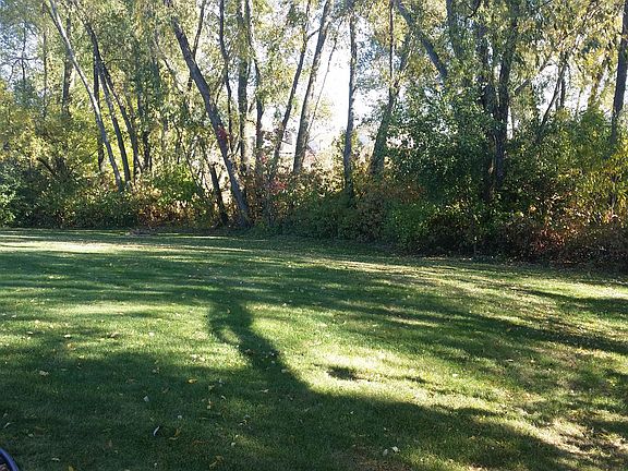 South side of yard