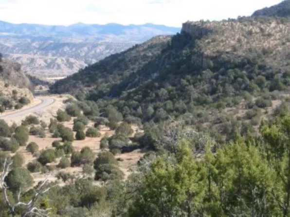 0 Mano Ln, Mimbres, NM 88049