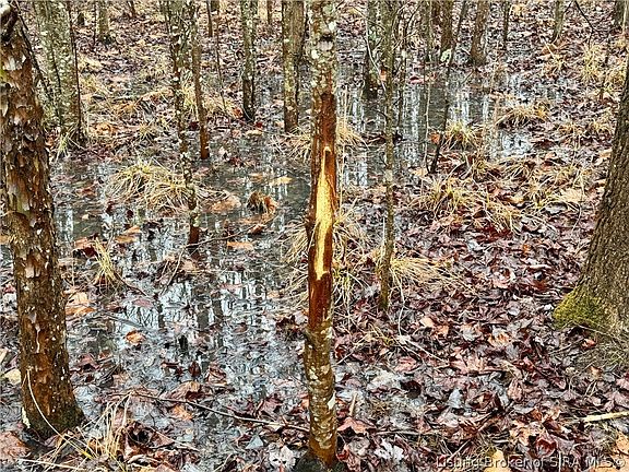 5th image of  Cortner Road