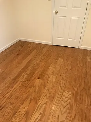 Rented by Johanna Gyuro, LREB | media 7