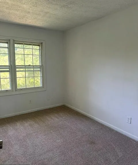 237 Cameron St — Photo 14