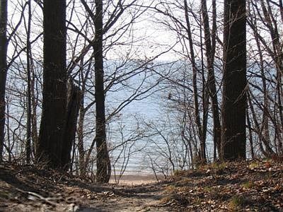 5th image of Wildwood Dr