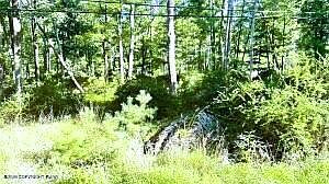 1st image of Metzgar Rd
