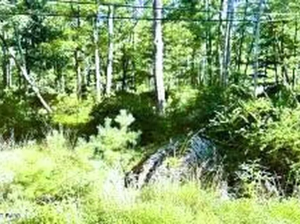 Metzgar Rd, East Stroudsburg, PA 18301