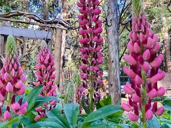 4th image of 1259 Waldo Rd