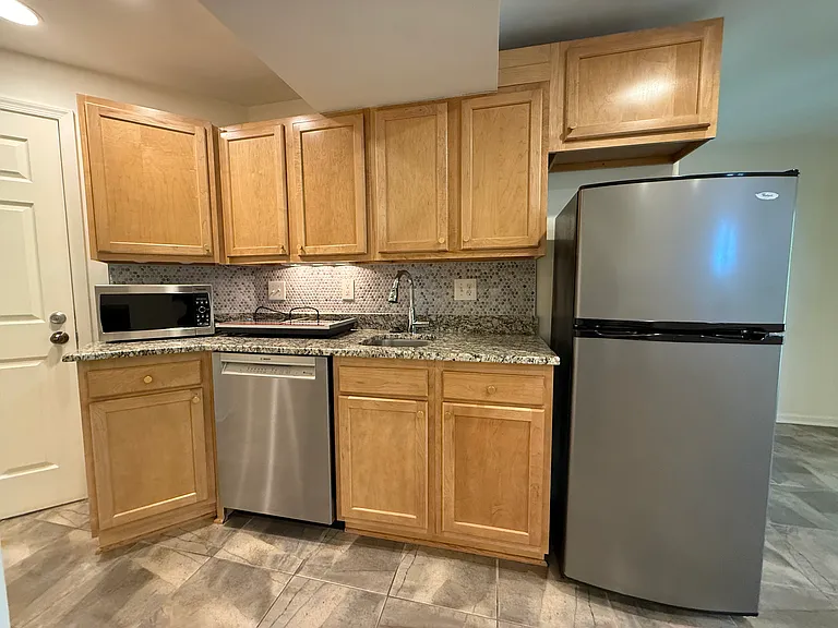 Kitchenette with fridge, dishwasher, hotplate and microwave